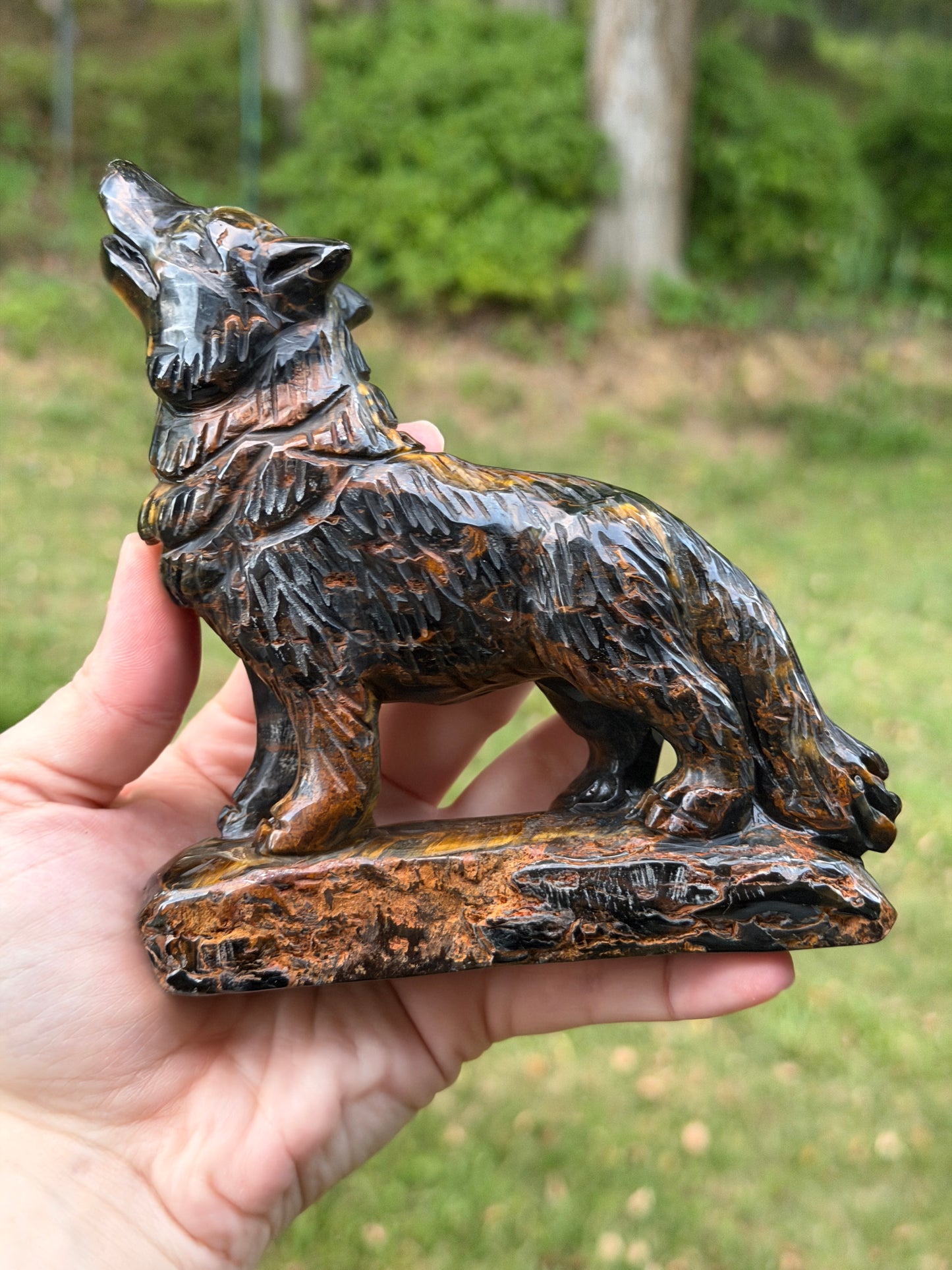 Blue Tigers Eye Wolf