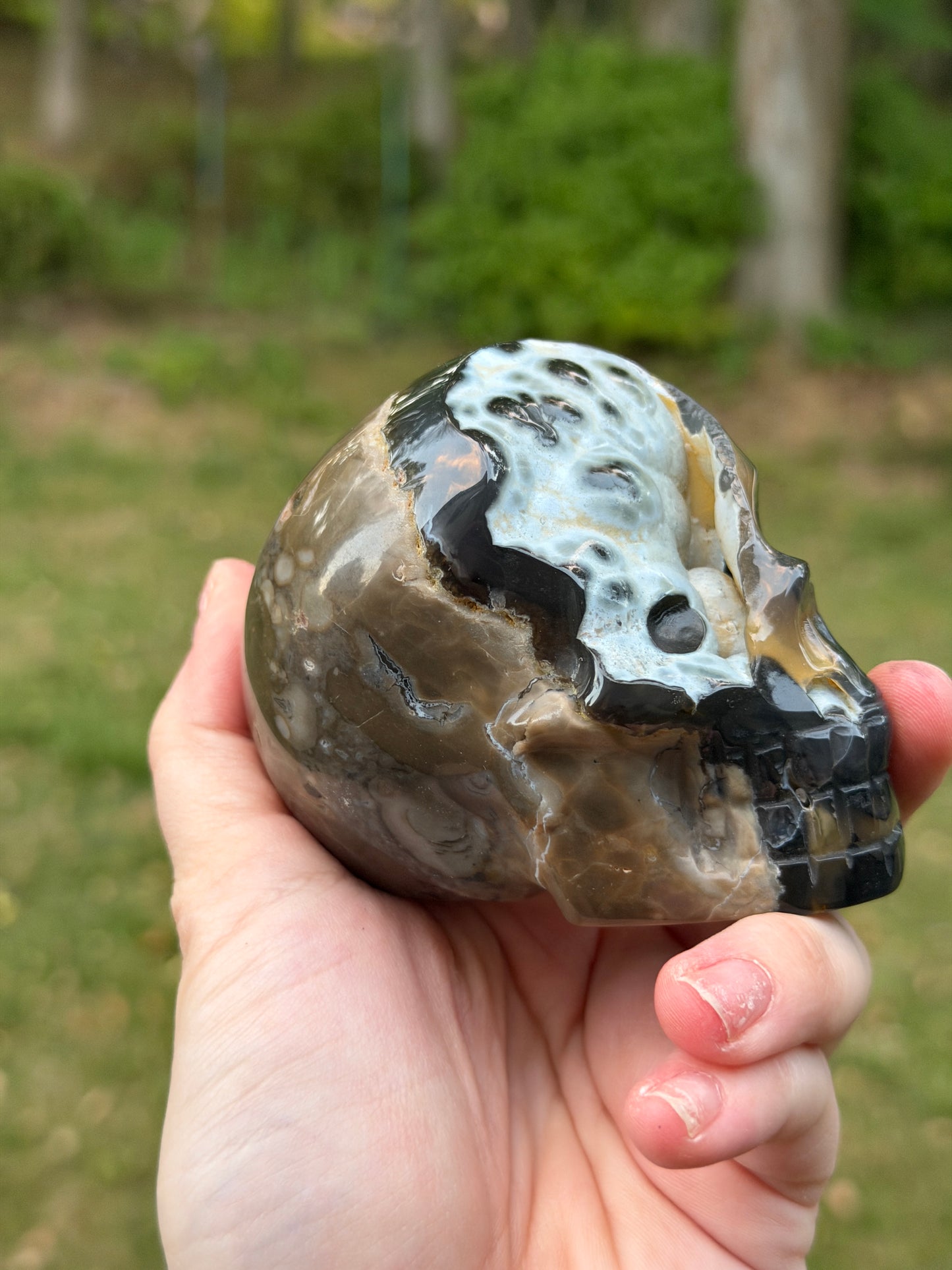 Volcano Agate Skull