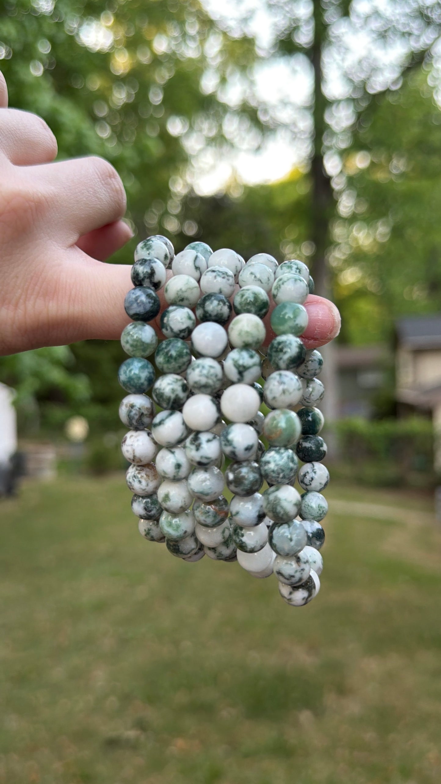 Bracelet - Tree Agate