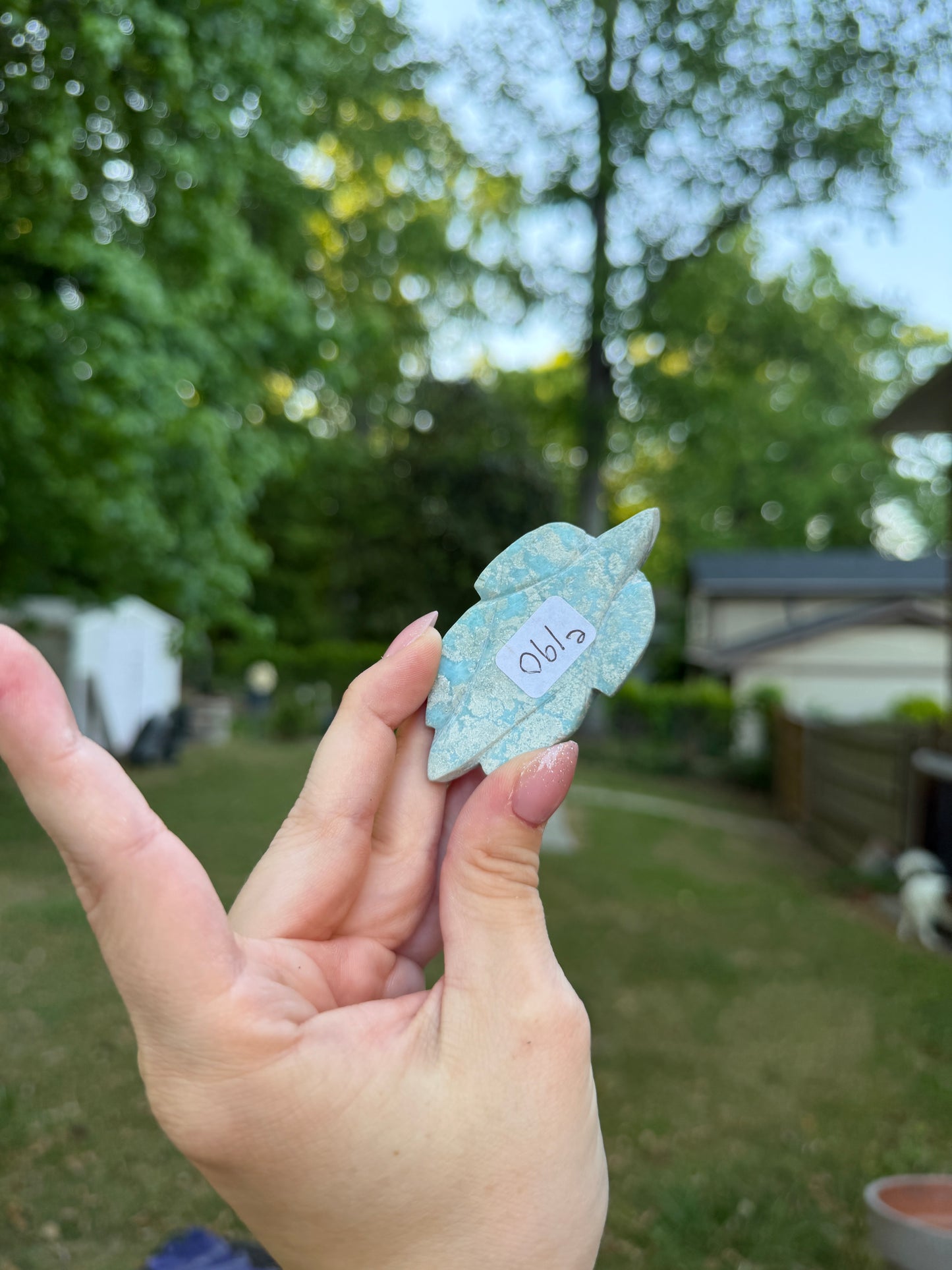 Larimar Turtle