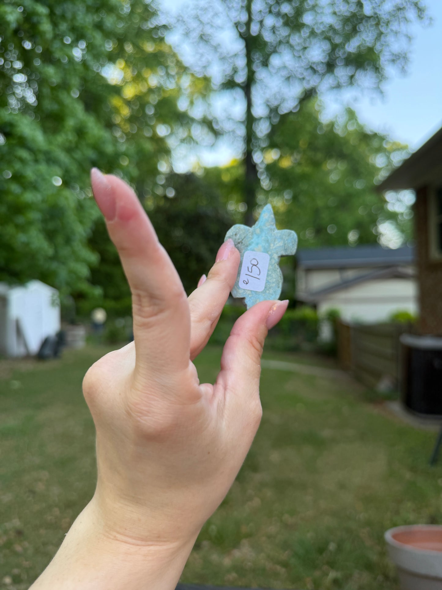 Larimar Turtle