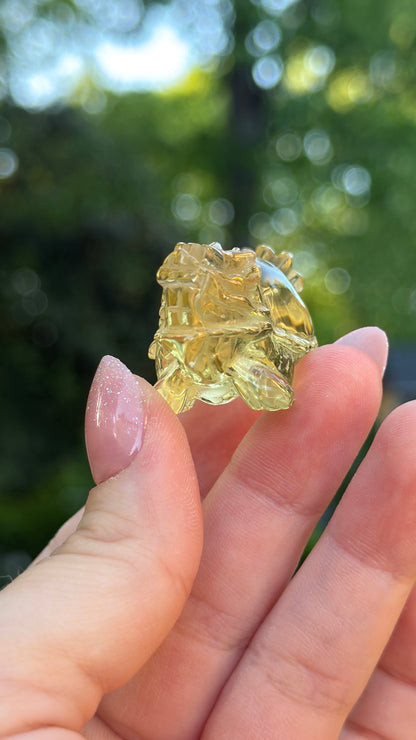 Citrine Pixiu