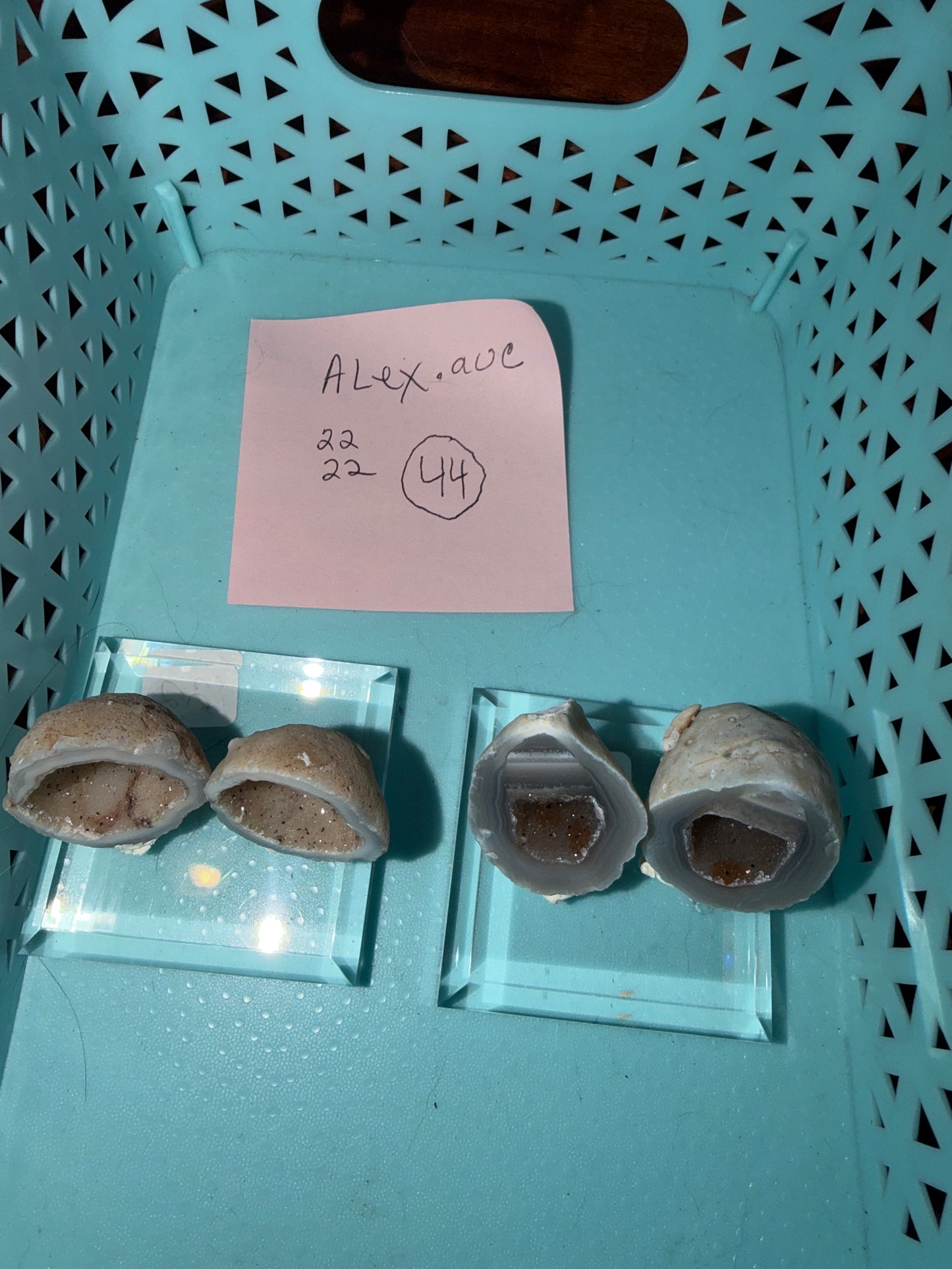 Alex 8/2