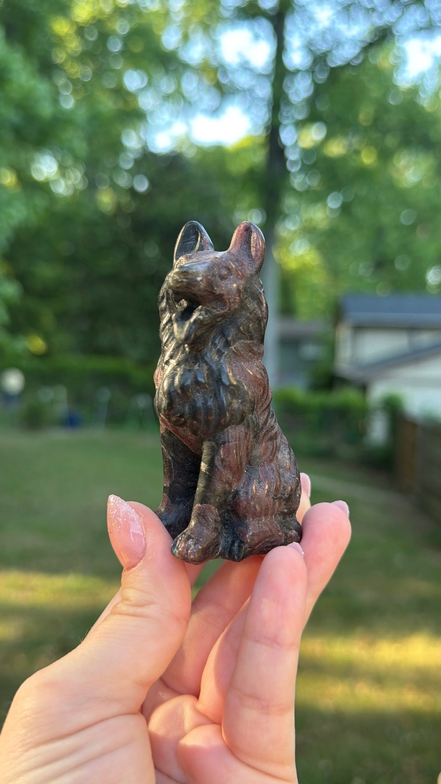 Garnet German Shepard Dog