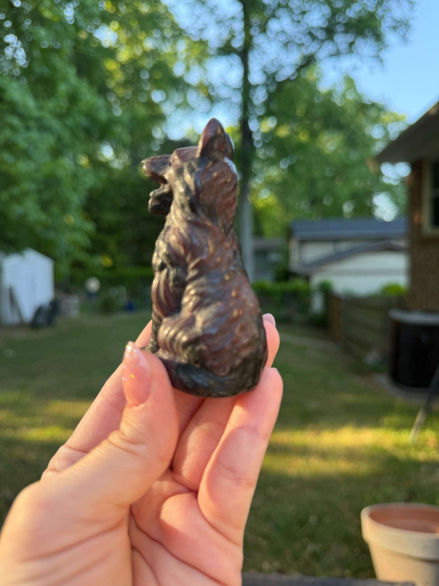 Garnet German Shepard Dog
