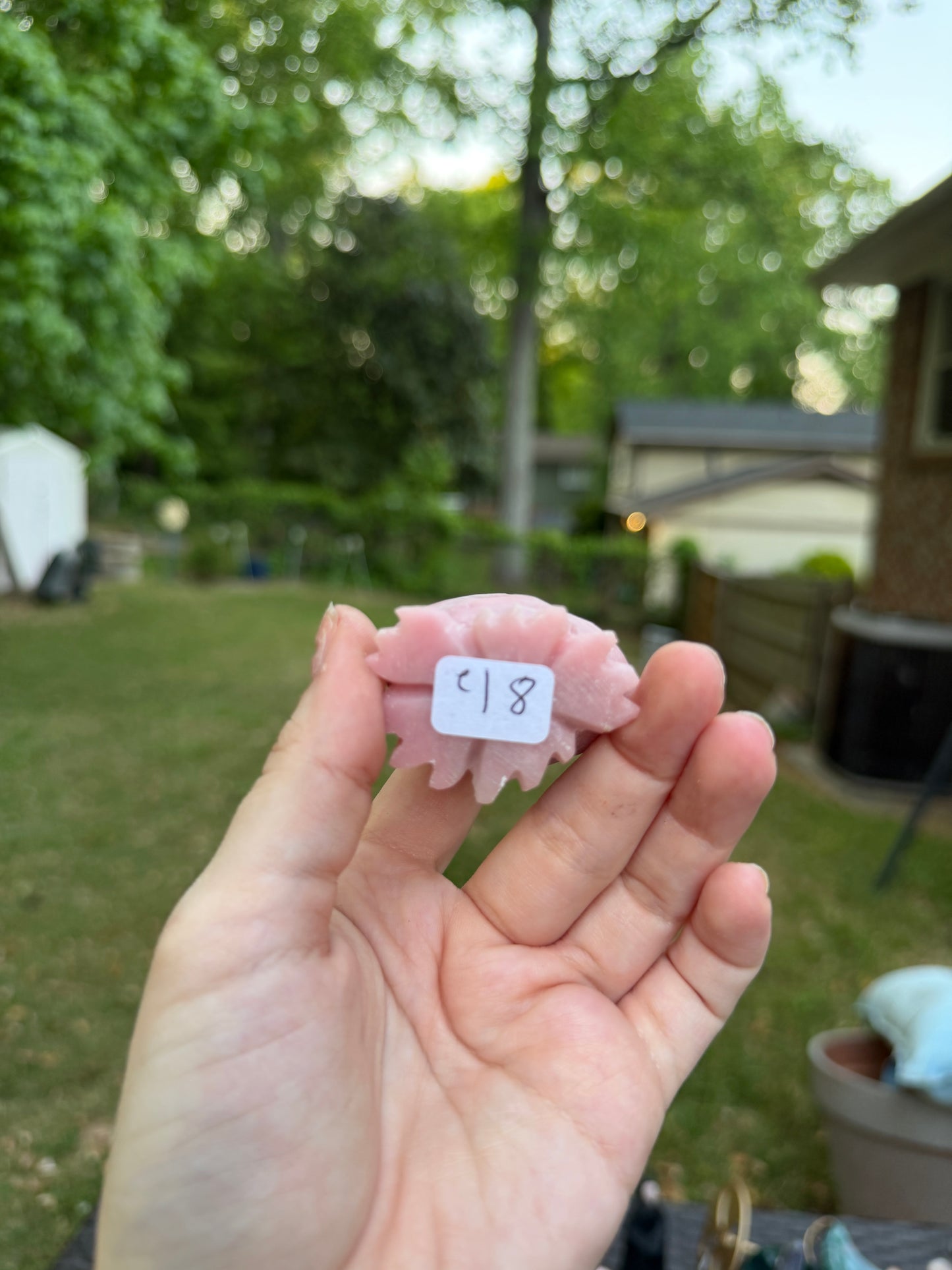 Pink Opal Strawberry Buddy