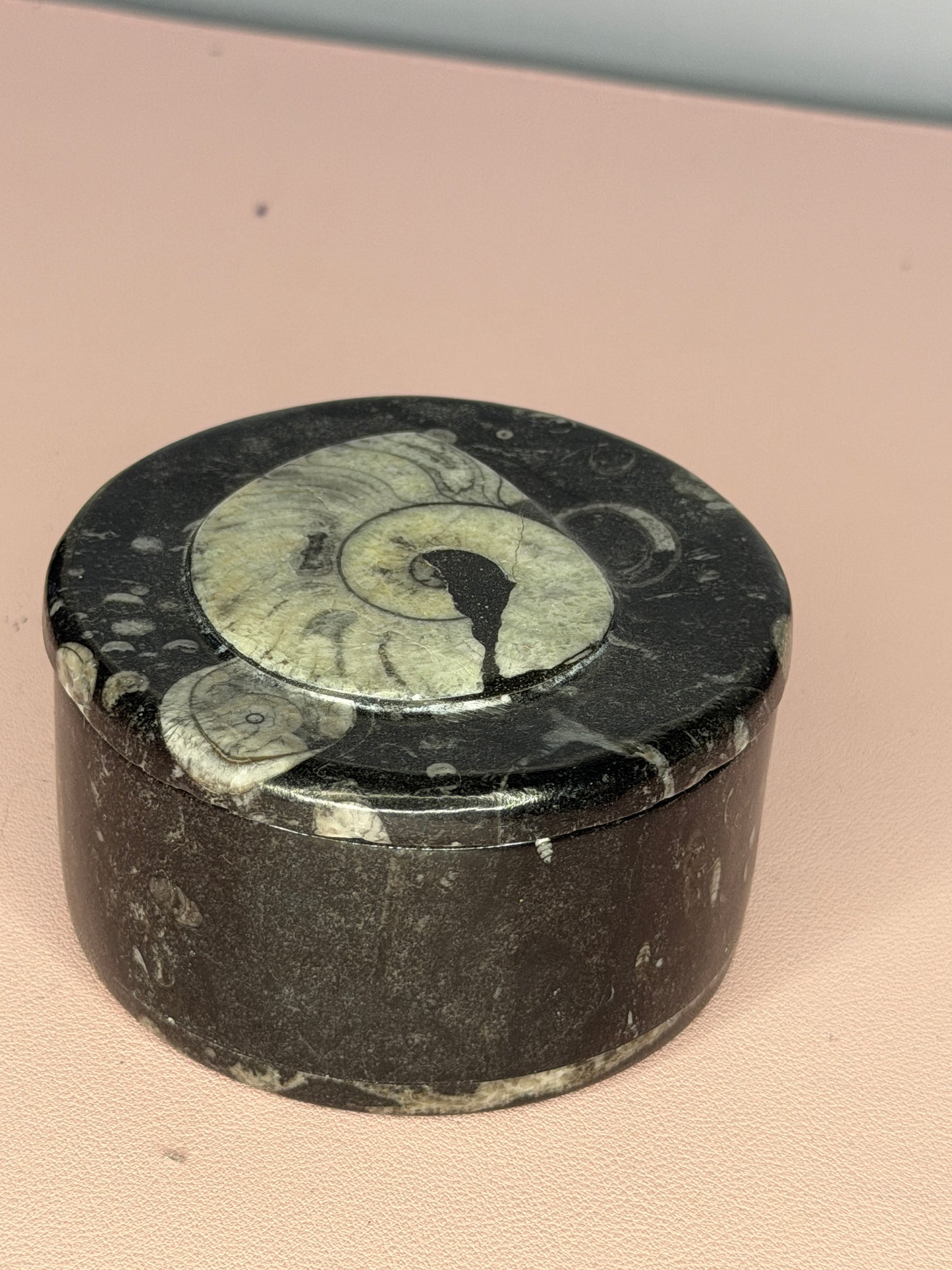 Ammonite Fossil Jar