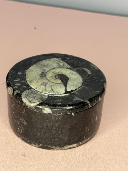 Ammonite Fossil Jar