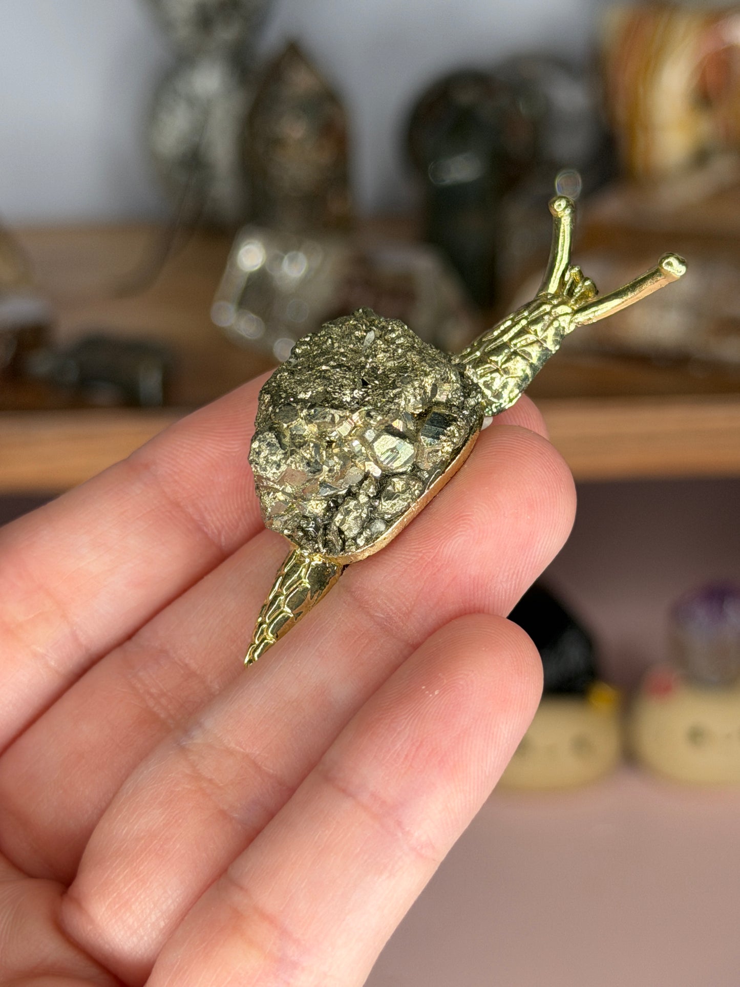 Pyrite Snail (Intuitively Chosen)