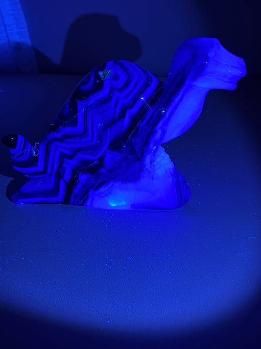 Fluorite Dinosaur (UV Reactive)