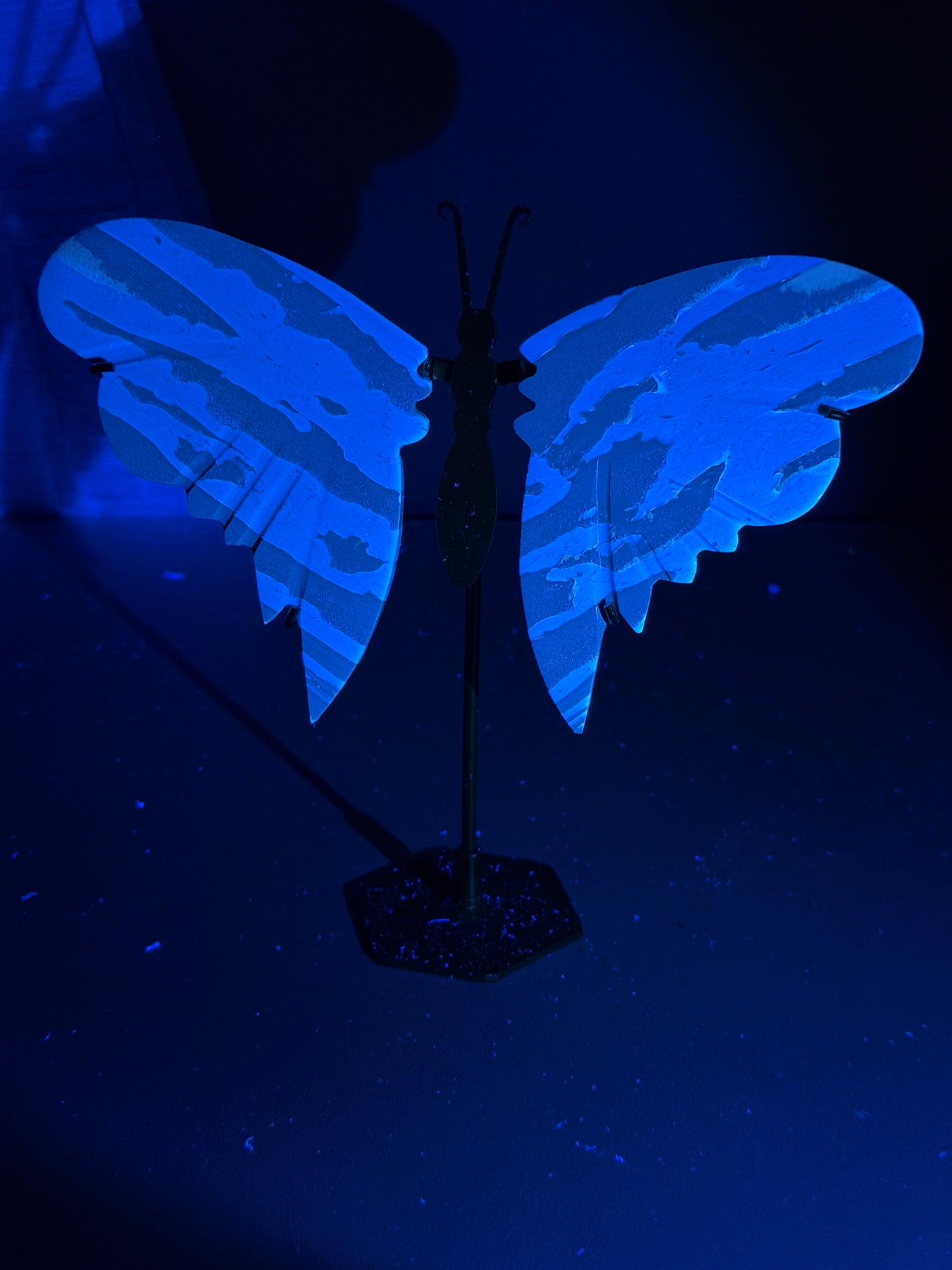 Indonesian Amber Butterfly Wings (UV Reactive)