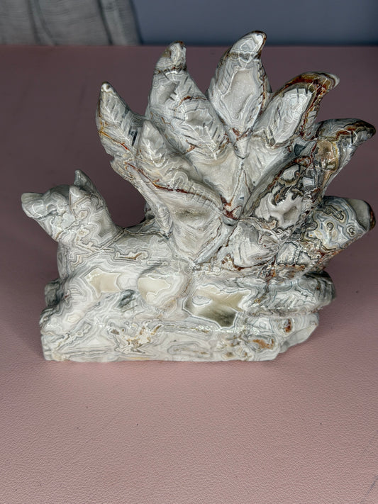 Mexican Crazy Lace Druzy 9 Tail Fox