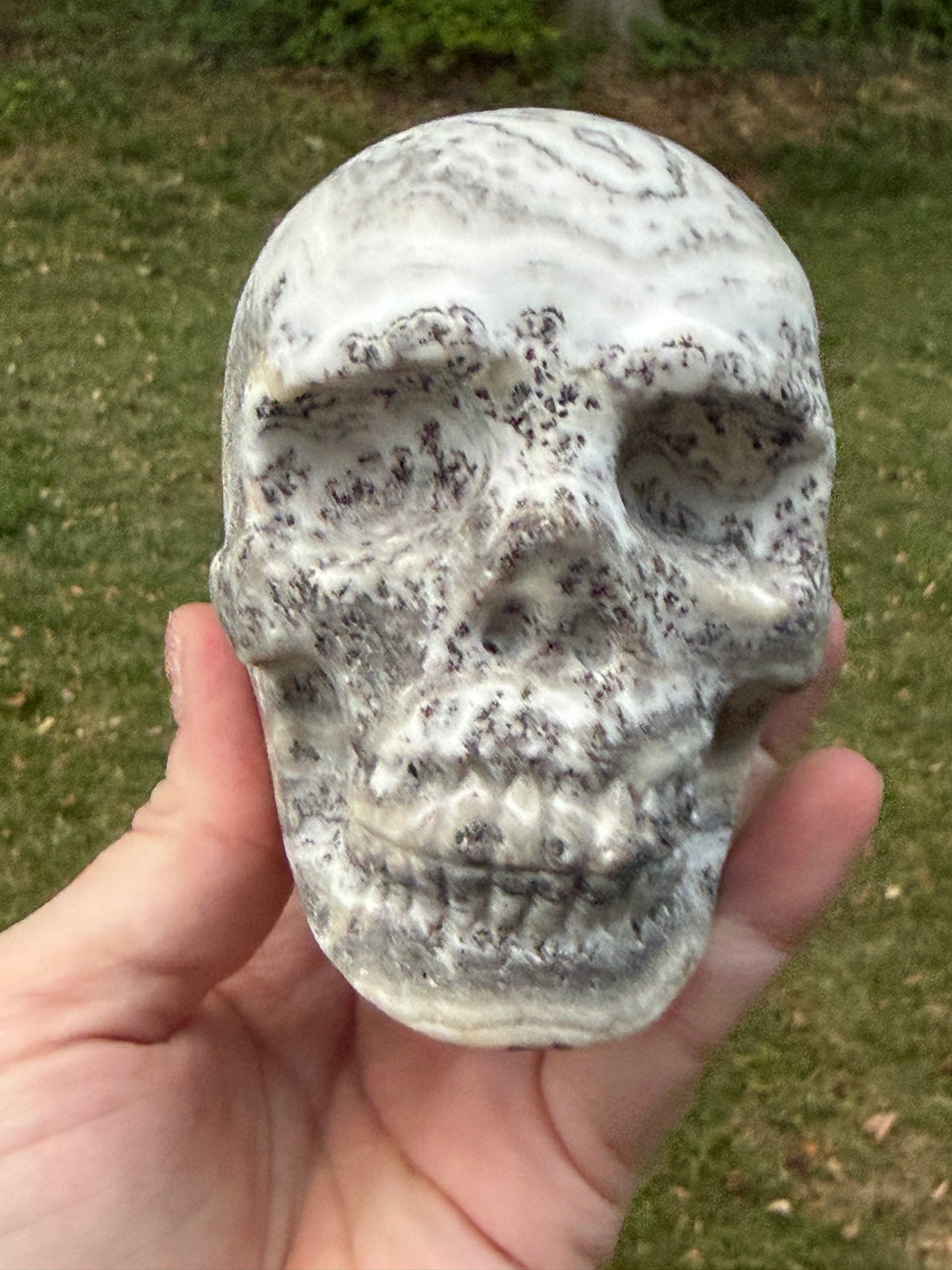 Dendritic Calcite Skull