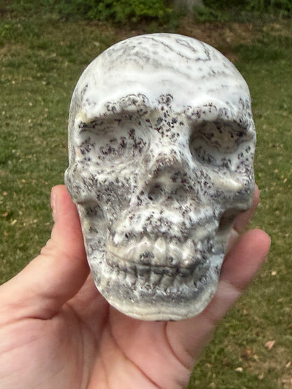 Dendritic Calcite Skull