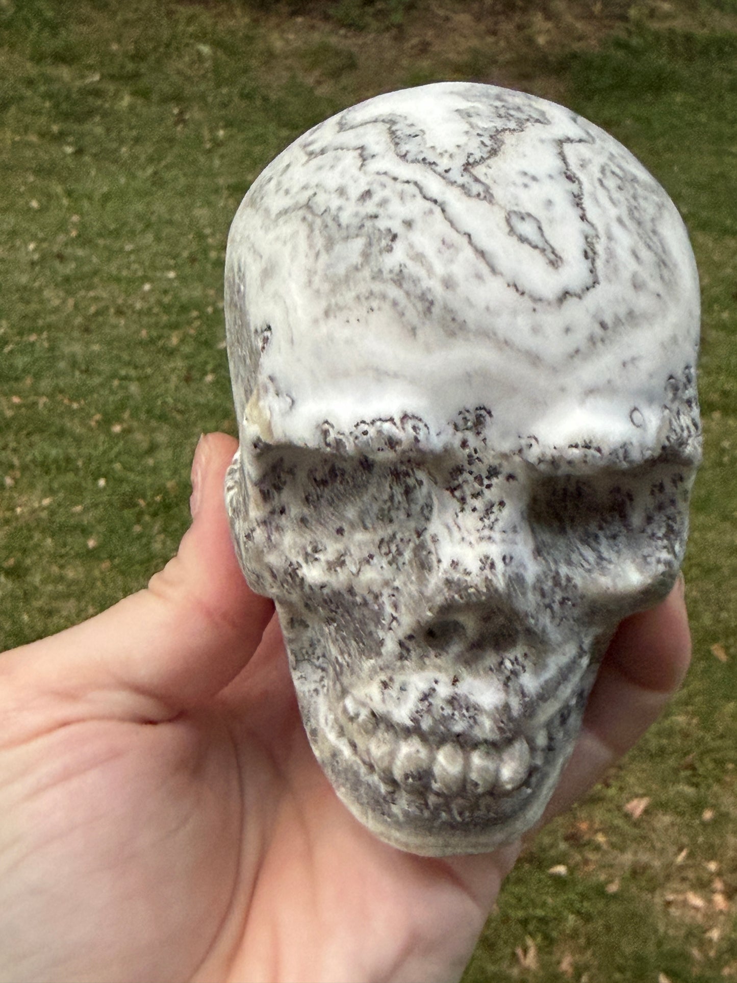 Dendritic Calcite Skull
