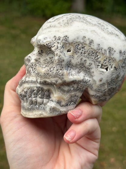 Dendritic Calcite Skull