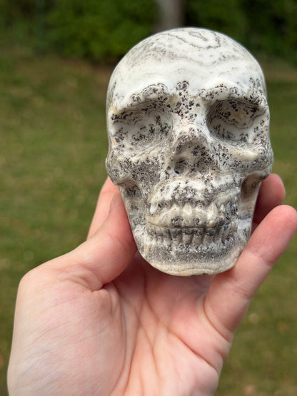 Dendritic Calcite Skull