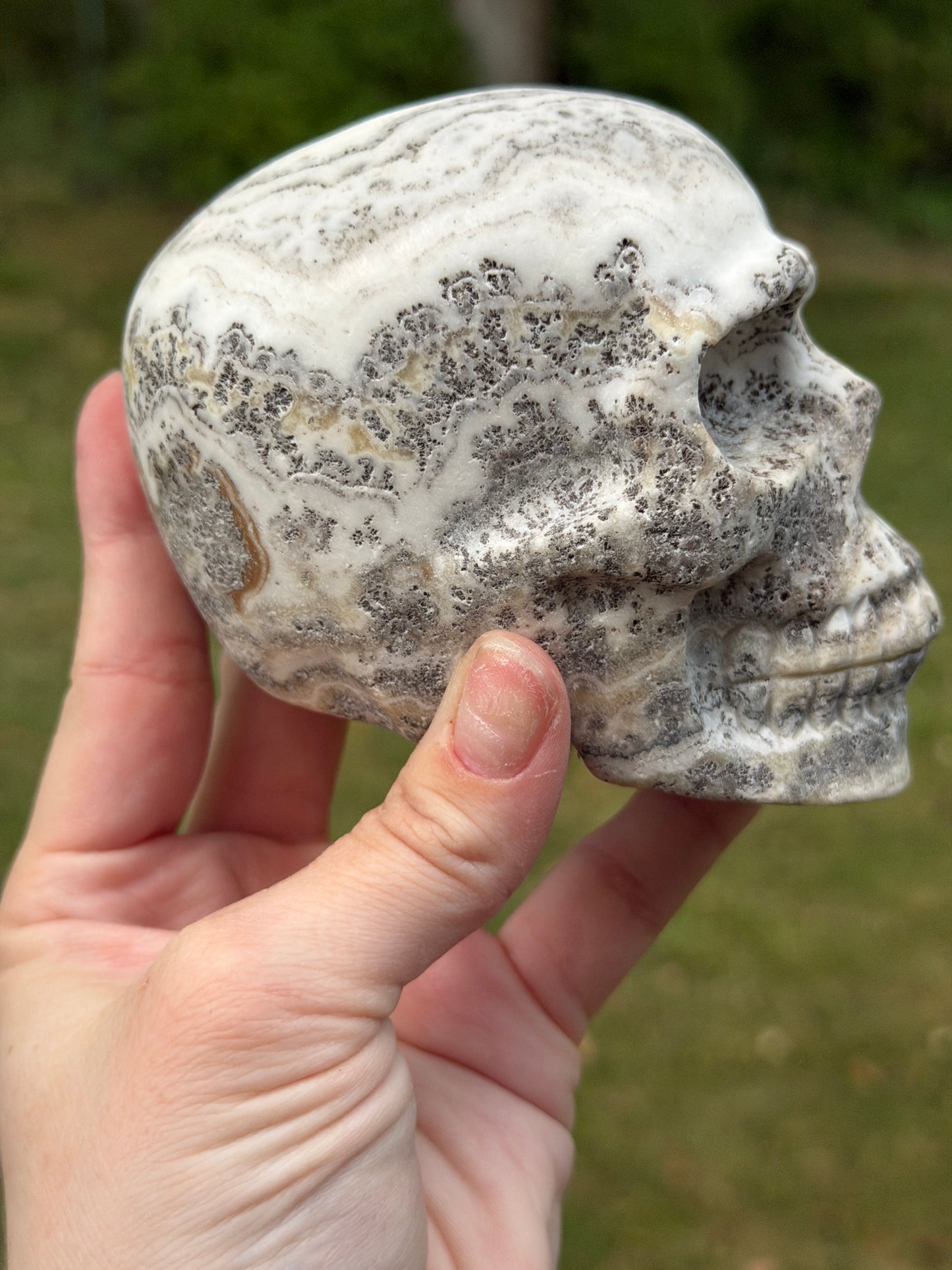 Dendritic Calcite Skull
