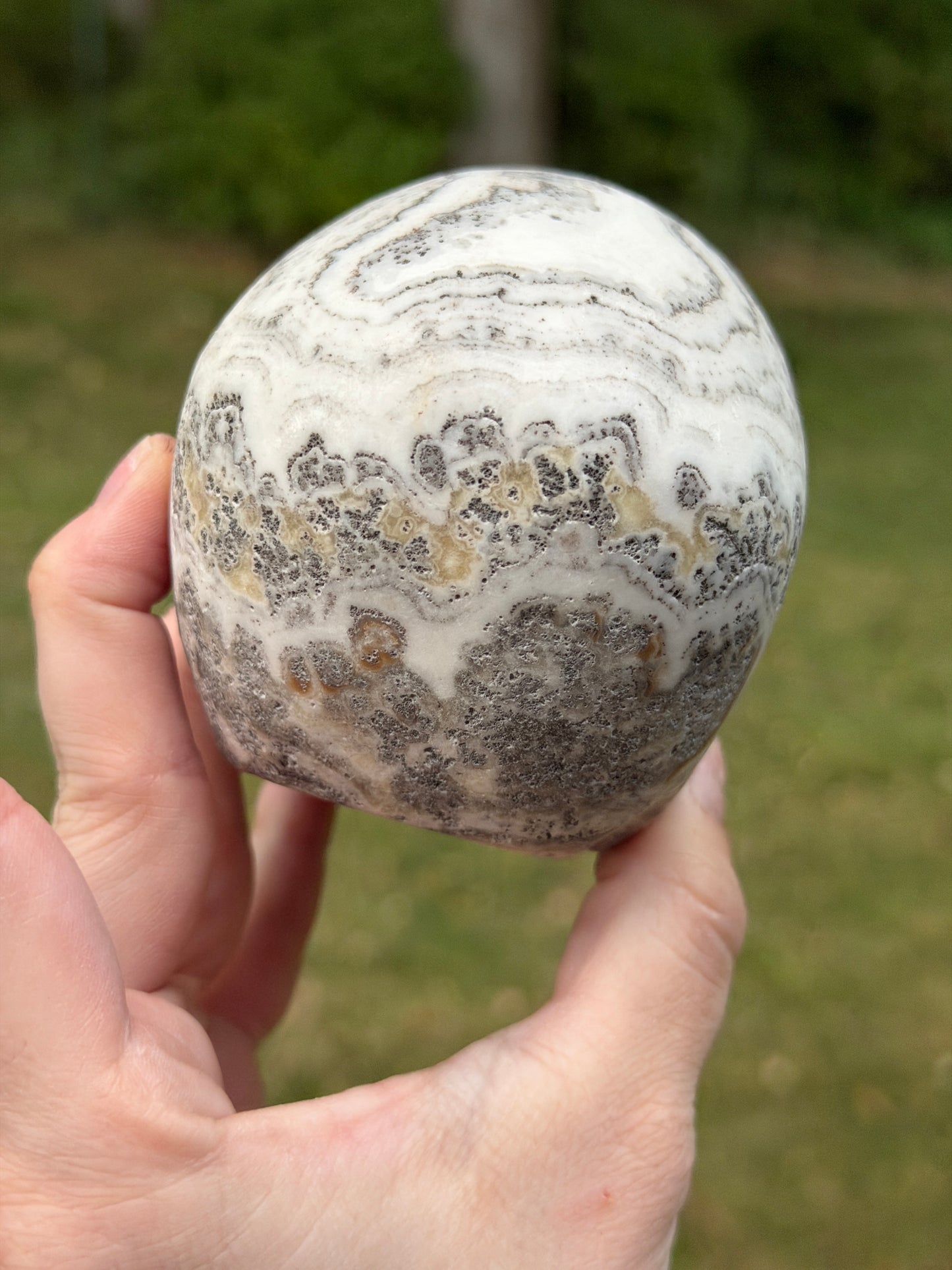 Dendritic Calcite Skull