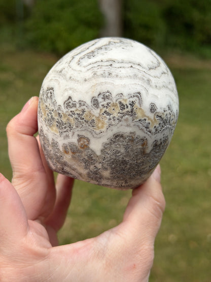 Dendritic Calcite Skull