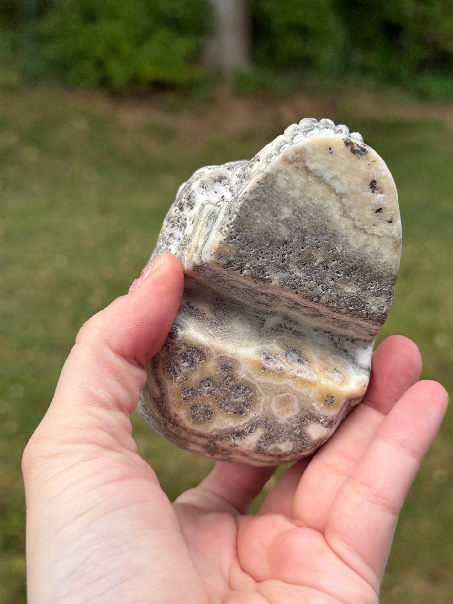 Dendritic Calcite Skull