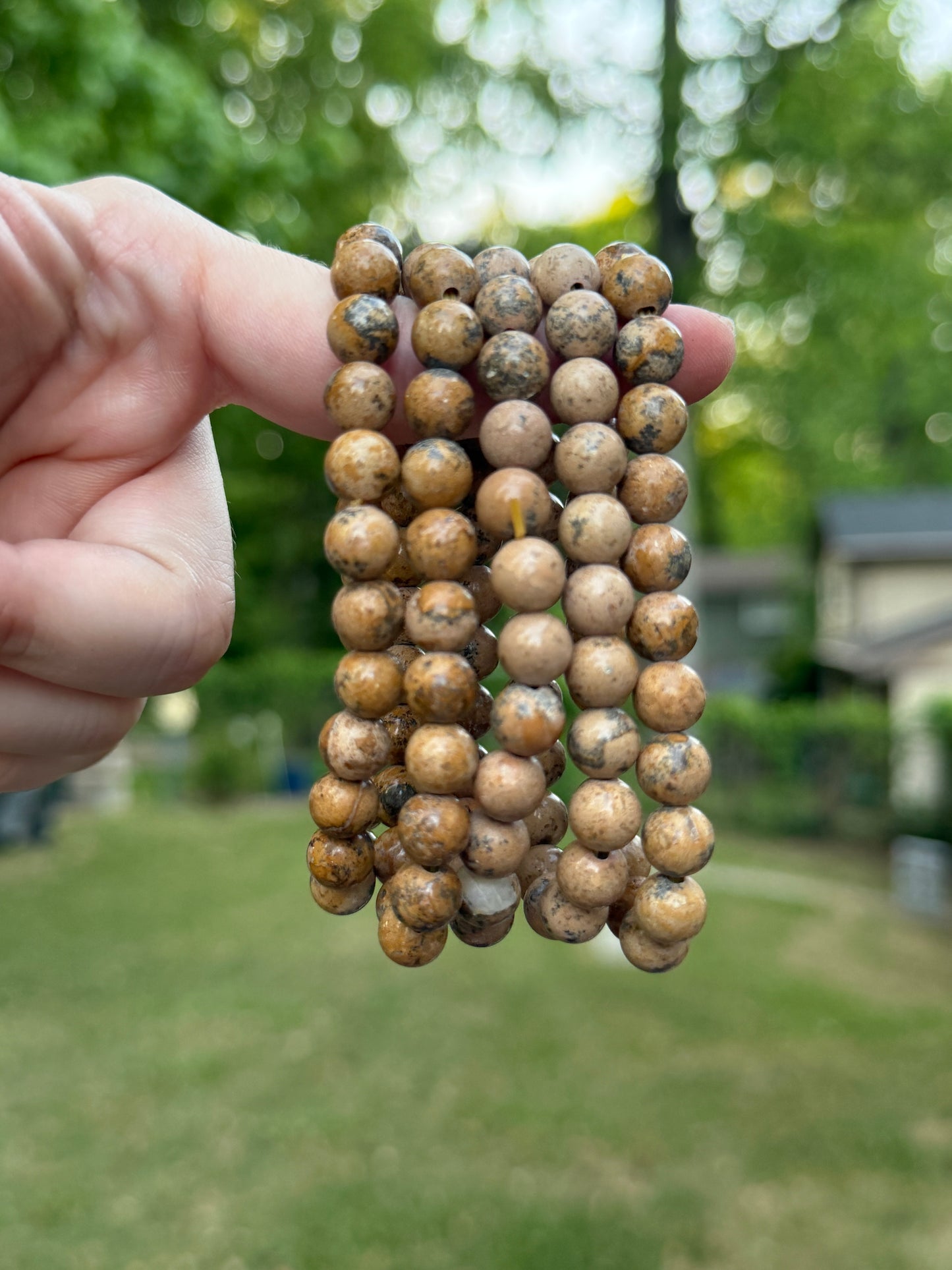 Bracelet - Picture Jasper
