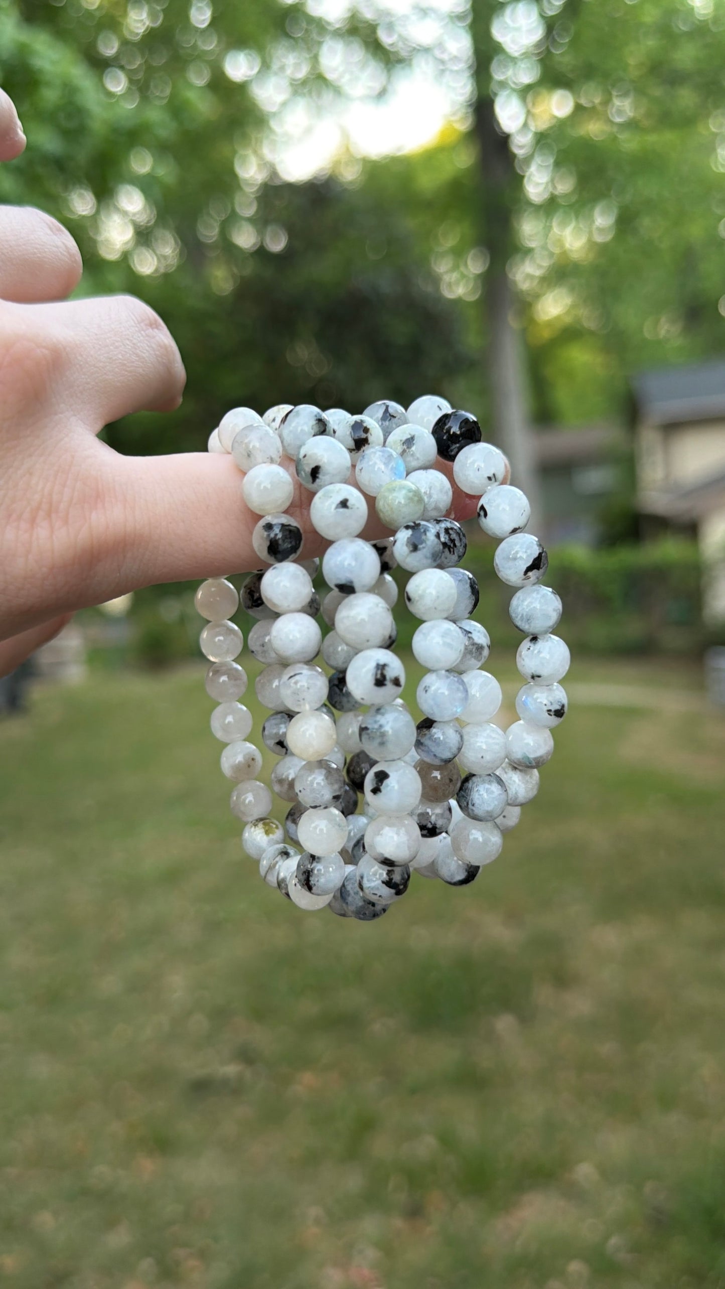 Bracelet - Rainbow Moonstone