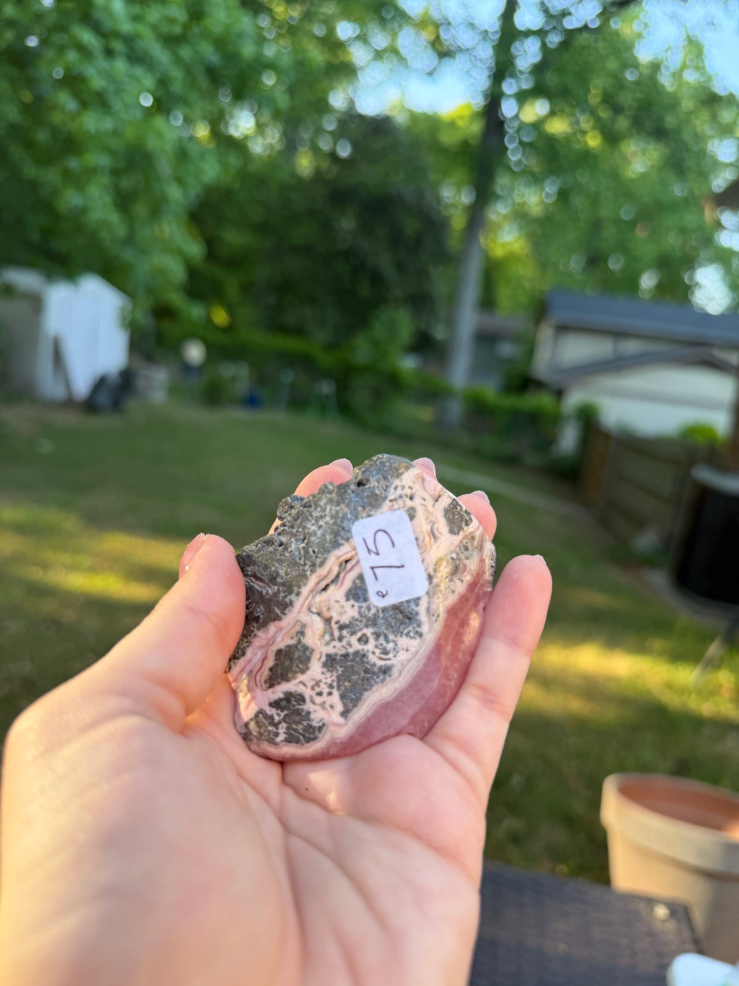 Rhodochrosite Starfish