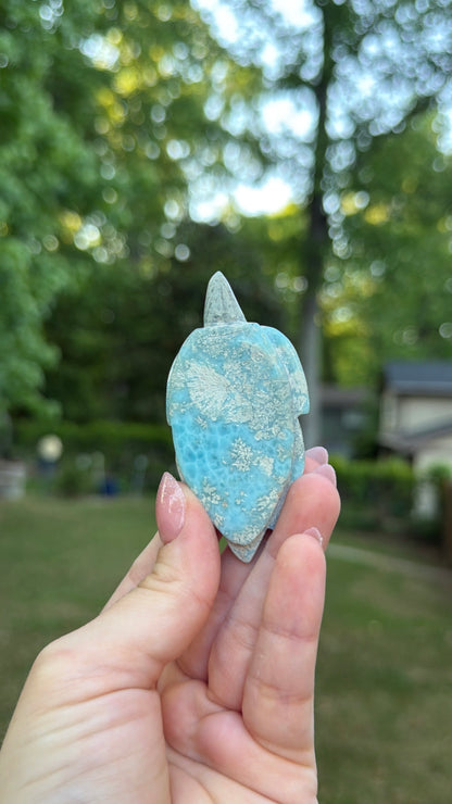 Larimar Turtle