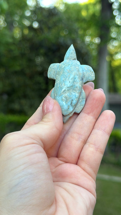 Larimar Turtle