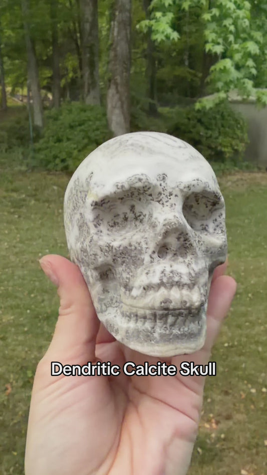 Dendritic Calcite Skull